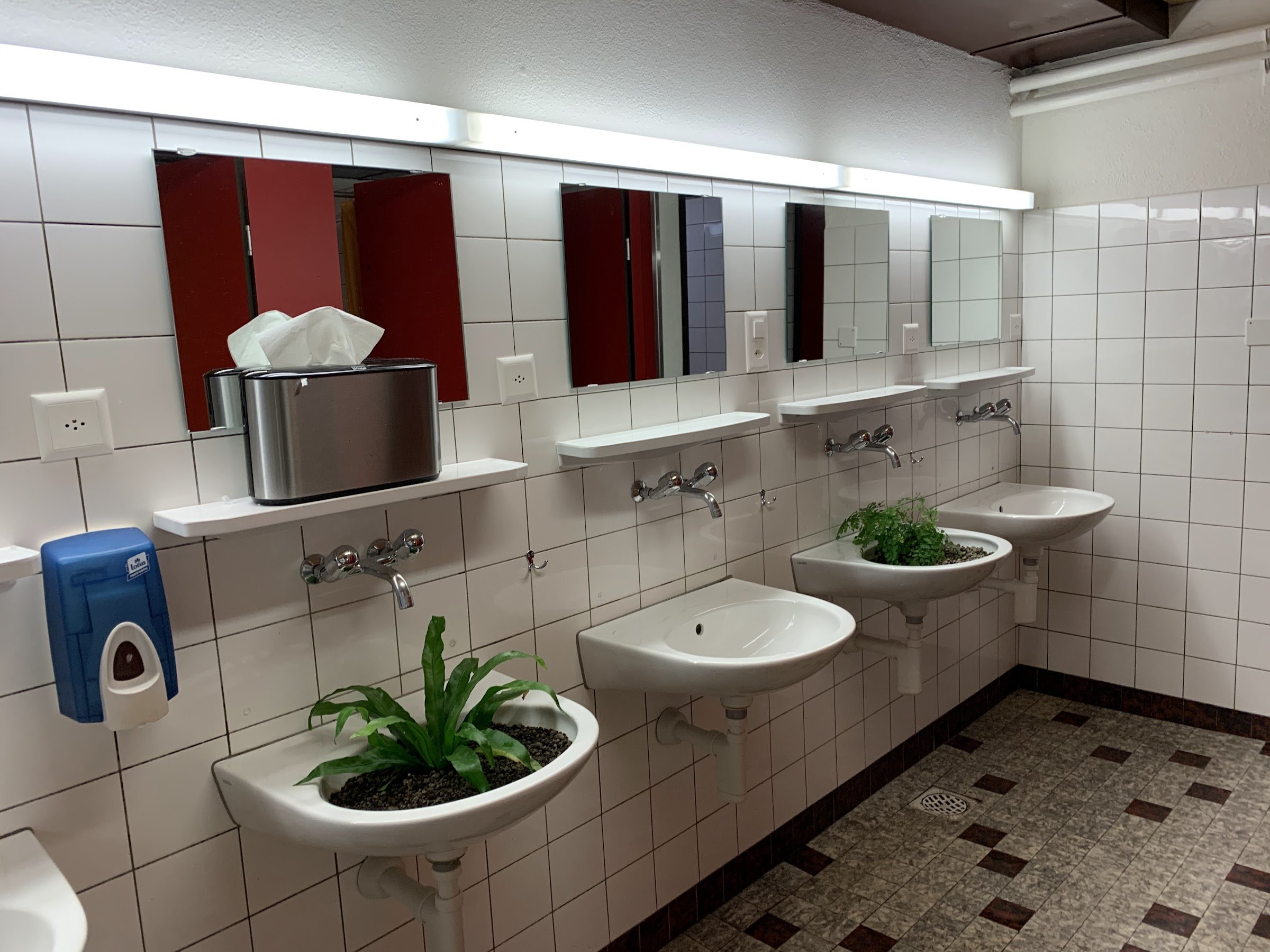 Camping Jungfrau (Lauterbrunnen)